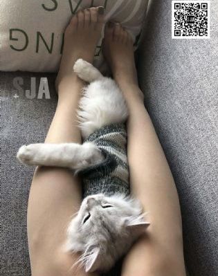 国产电影营销案例分析_剧情片电影完整版在线观看